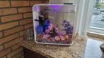 Biorb Aquarium  afm 40x26x40 compleet  met toebehoren, Dieren en Toebehoren, Vissen | Aquaria en Toebehoren, Ophalen of Verzenden