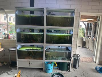 Mooi aqaurium stelling beschikbaar voor biedingen