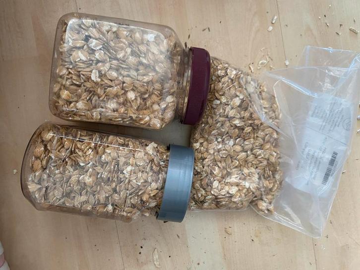 Complete set hamsterspullen. Moet weg., Dieren en Toebehoren, Knaagdieren en Konijnen | Toebehoren, Gebruikt, Overige typen, Ophalen