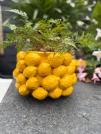 Des Pots Citroen vaas  20cm, Huis en Inrichting, Ophalen, Zo goed als nieuw