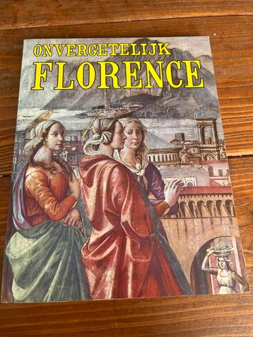 Onvergetelijk Florence Reisgids en naslagwerk beschikbaar voor biedingen
