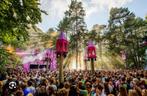 In to the woods (festival) Amersfoort, Tickets en Kaartjes, Twee personen
