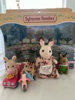 Sylvanian Families babies ride and play, Ophalen of Verzenden, Zo goed als nieuw