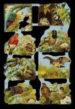 IJsvogel Roodborstje Pimpelmees Vlaamse Gaai Vink Roofvogel, Verzamelen, Ophalen of Verzenden, Zo goed als nieuw