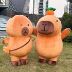 Gezocht; Capybara mascotte, Ophalen, Versiering
