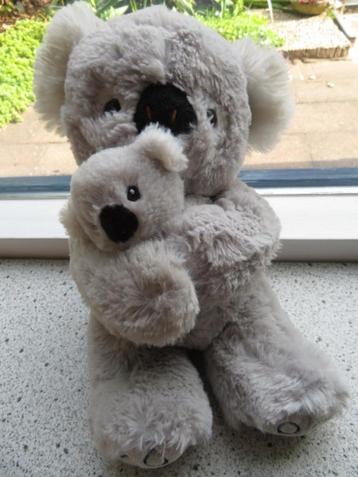 Koalabeer koala beer met jong merk Evora klittenband aan de beschikbaar voor biedingen