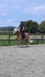 Bijrijder aangeboden ( Etten-Leur ), Dieren en Toebehoren, Paarden en Pony's | Overige Paardenspullen, Ophalen of Verzenden, Nieuw