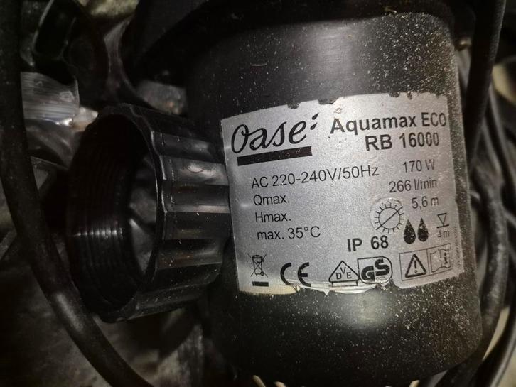 Specie kuip vol met vijver spul., Tuin en Terras, Vijver-toebehoren, Zo goed als nieuw, Vijverpomp, Ophalen of Verzenden