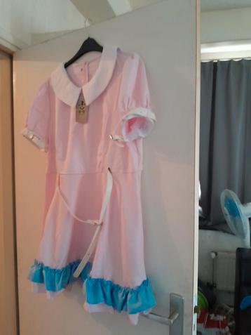 Roze Jurk met Accessoires - Nieuw! Maat 3xl  beschikbaar voor biedingen
