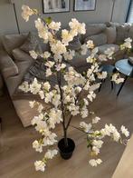 Japanse sierkers, Ophalen, Zo goed als nieuw, Binnen