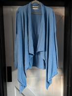 ANECDOTE vest maat L, Verzenden, Zo goed als nieuw, Maat 38/40 (M), Blauw