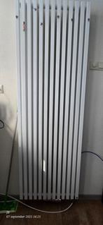 Plieger Siena Designradiator Verticaal Dubbel, Ophalen, Radiator, Zo goed als nieuw, 60 tot 150 cm