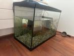 Aquarium, Dieren en Toebehoren, Ophalen of Verzenden, Zo goed als nieuw, Leeg aquarium
