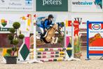 Prachtige Welsh sportpony, Merrie, A pony (tot 1.17m)