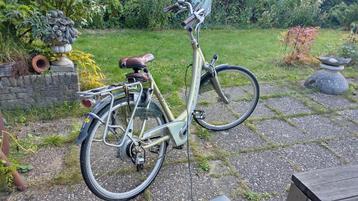 Tien jaar oud.  beschikbaar voor biedingen