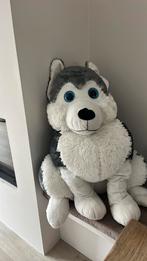 Grote husky knuffel hond, Ophalen, Zo goed als nieuw, Hond