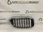 Grill Nier Rechts BMW 5 Serie G30 G31 M-PAKKET 51137390864, Auto-onderdelen, Gebruikt, Ophalen of Verzenden, BMW, BMW