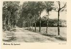 Geijsteren Berkenweg, Ophalen of Verzenden, 1940 tot 1960, Ongelopen, Limburg