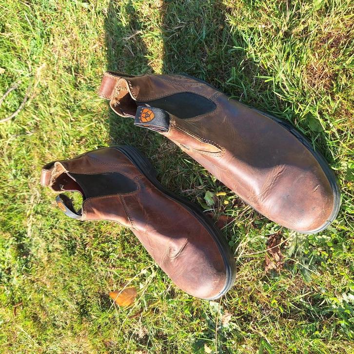 Nette stal/werk laarzen, Dieren en Toebehoren, Paardrijkleding, Gebruikt, Dames, Heren, Schoeisel, Overige soorten, Ophalen