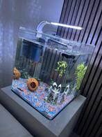 Aquarium 60 litres nano merk, Dieren en Toebehoren, Vissen | Aquaria en Toebehoren, Ophalen of Verzenden, Zo goed als nieuw, Leeg aquarium