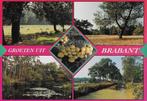 Ch247 ansichtkaart groeten uit brabant ongelopen, Ophalen of Verzenden, 1980 tot heden, Ongelopen, Noord-Brabant
