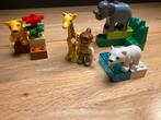 Lego Duplo Wilde Dieren Set, Kinderen en Baby's, Speelgoed | Duplo en Lego, Ophalen of Verzenden, Zo goed als nieuw, Complete set