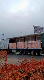 Pelletkachel Pure Power pellets naaldhout houtkorrel, Huis en Inrichting, Kachels, Ophalen, Overige brandstoffen, Nieuw, Pelletkachel