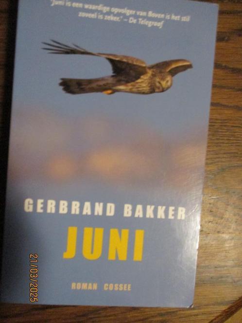 Juni roman Auteur: Gerbrand Bakker 9789059363373, Boeken, Romans, Zo goed als nieuw, Nederland, Ophalen of Verzenden