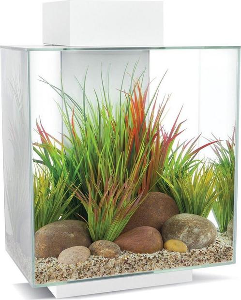 Fluval Edge II 46 liter aquarium met toebehoren. Wit, Dieren en Toebehoren, Vissen | Aquaria en Toebehoren, Zo goed als nieuw