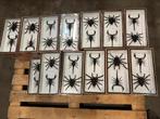 Opgezette bijzondere insecten in luxe lijsten vanaf €24,-, Verzamelen, Dierenverzamelingen, Ophalen of Verzenden, Nieuw, Insect