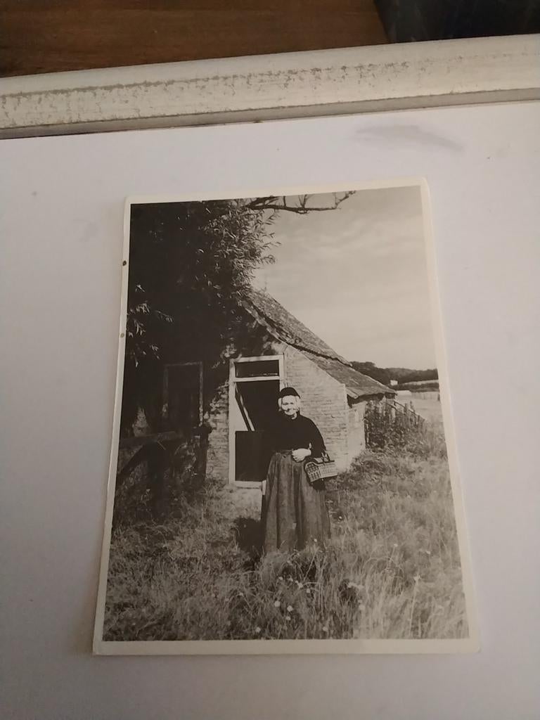TERSCHELLING. VAN VROEGER. 1982, Ophalen of Verzenden, 1980 tot heden, Waddeneilanden