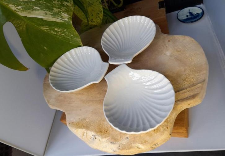 3 Sphinx Schelp Schaaltjes - Vintage, Huis en Inrichting, Woonaccessoires | Schalen en Manden, Gebruikt, Schaal, Overige vormen