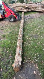 Eiken palen 8m lang 15-20cm ooievaarsnest/waterput, Tuin en Terras, Palen, Balken en Planken, Ophalen, Palen, Nieuw, Hardhout