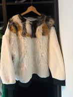 Trui, Kleding | Dames, Truien en Vesten, Ophalen of Verzenden, Zo goed als nieuw, Maat 38/40 (M)