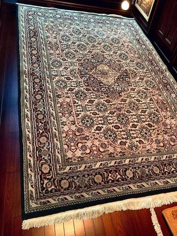 Perzisch handgeknoopt Bidjar tapijt wol 250x170 cm beschikbaar voor biedingen