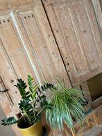 Paneel deuren hout massief met bovenlicht, Doe-het-zelf en Verbouw, Ophalen, Gebruikt, Binnendeur, 200 tot 215 cm