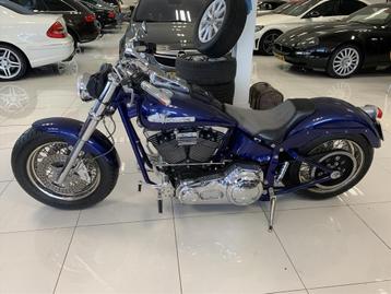 Harley-Davidson Softail Eigenbouw Een schitterend mooie harl beschikbaar voor biedingen