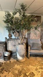 Imitatie olijf olijfboom kunst voor binnen tuinvaas vintage, Nieuw, Binnen, Ophalen of Verzenden