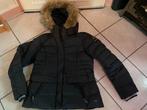 Gaastra jas maat XL, Gaastra, Zwart, Maat 46/48 (XL) of groter, Nieuw