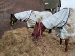 Bucas power turnout combi neck maat L, Ophalen of Verzenden, Zo goed als nieuw, Deken