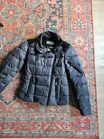 Een Giacomo the Jacket donsjas large winterjas, Kleding | Dames, Jassen | Winter, Zwart, Maat 42/44 (L), Ophalen of Verzenden