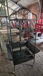 Papegaaien kooi, Dieren en Toebehoren, Vogels | Hokken en Kooien, Ophalen, Metaal, Vogelkooi