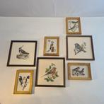 Collectie borduurwerken van vogels, Ophalen of Verzenden