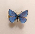 Adonisblauwtje - Polyommatus bellargus, Ophalen of Verzenden, Nieuw, Beeldje of Figuurtje