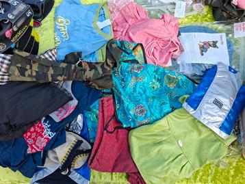 Partij honden kleding  beschikbaar voor biedingen
