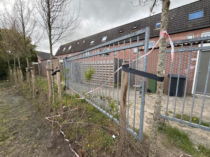 Stalen draaipoort, Tuin en Terras, Tuinhekken en Hekwerk, Gebruikt, Tuinhek, IJzer, Met poort, Ophalen