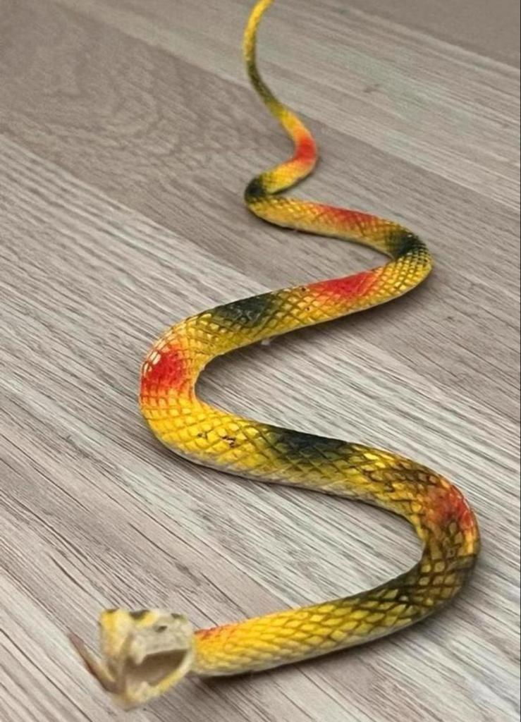 Vrolijke Gekleurde Speelgoed Slang - 41 cm, Ophalen of Verzenden, Gebruikt, Jongen of Meisje