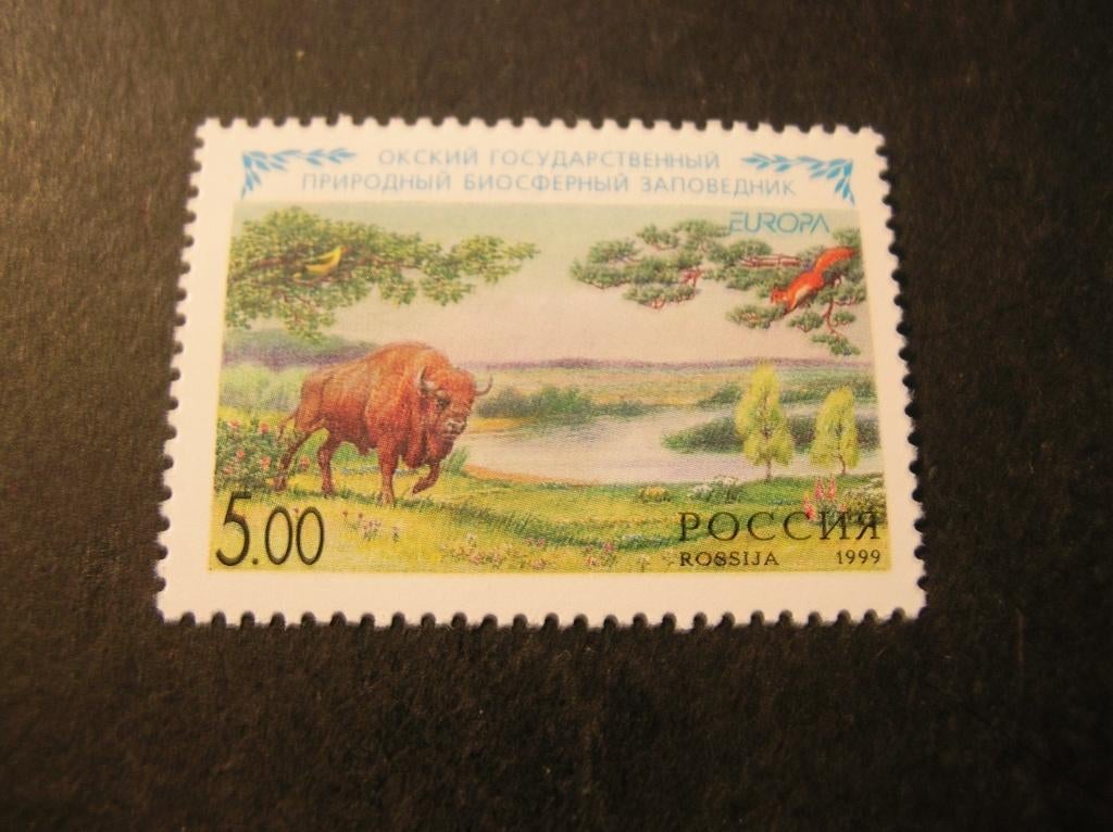 Cept/Verenigd Europa Rusland 1999, Ophalen of Verzenden, Overige landen, Postfris