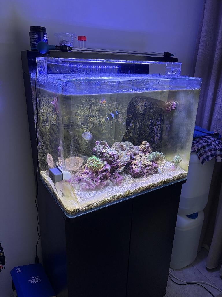 Compleet zeeaquarium 120L met upgrade apparatuur, Dieren en Toebehoren, Ophalen, Gebruikt, Gevuld zeewateraquarium
