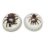 Vintage opgezette vogelspinnen in epoxy USA, Ophalen of Verzenden, Zo goed als nieuw, Vogel, Opgezet dier